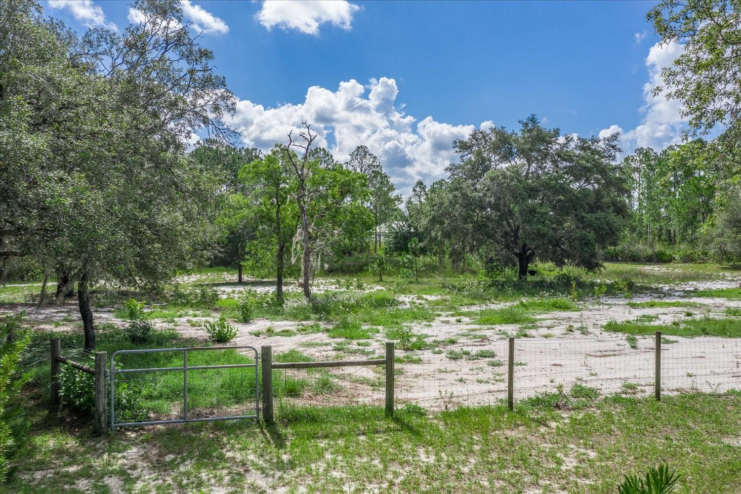 BLUE JORDAN FOREST - Residential