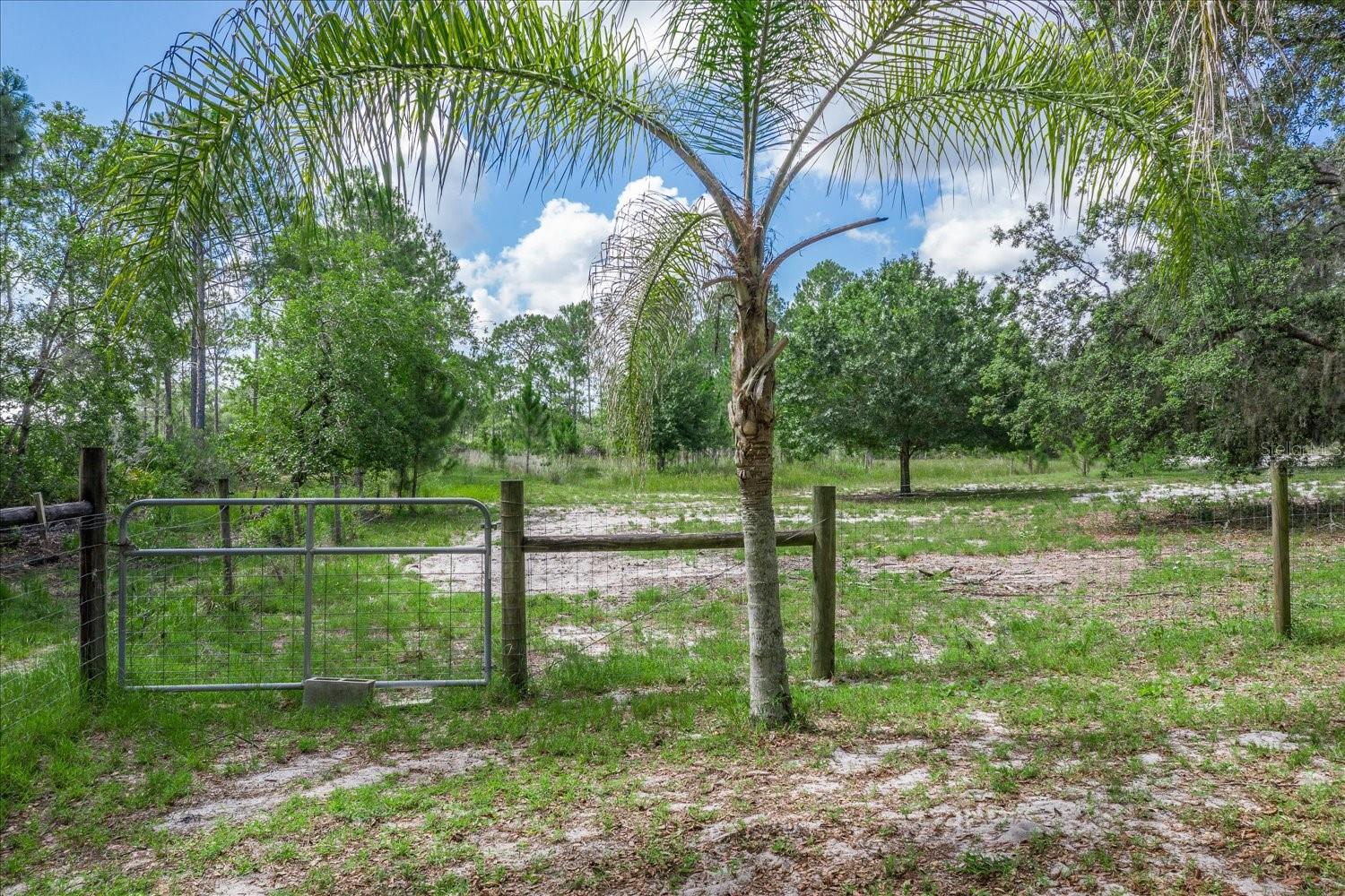 BLUE JORDAN FOREST - Residential