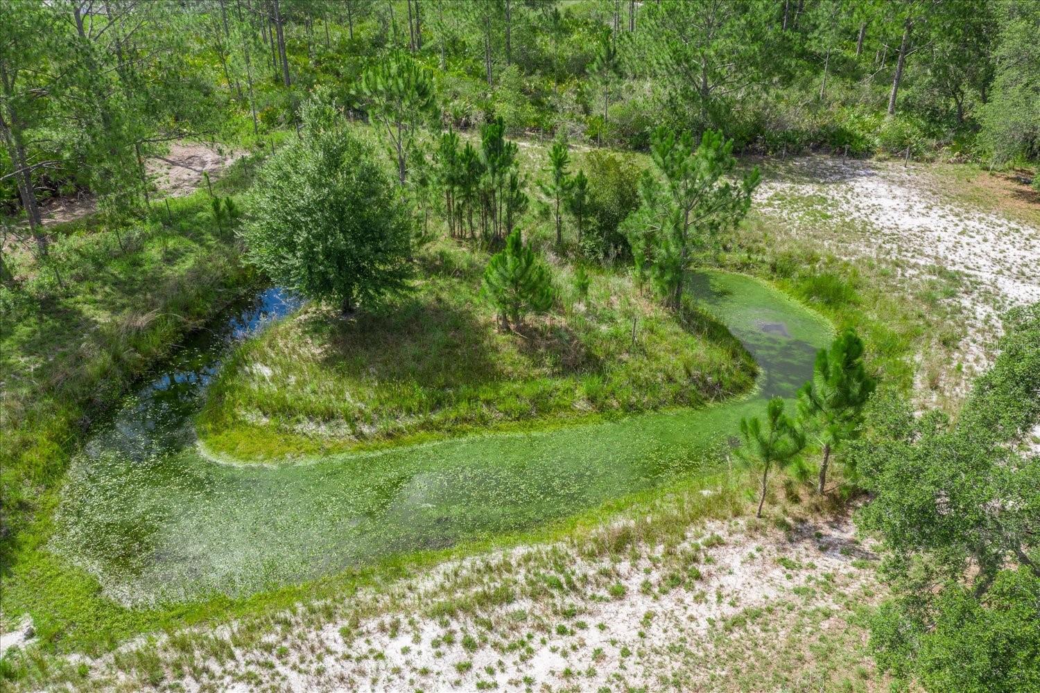 BLUE JORDAN FOREST - Residential