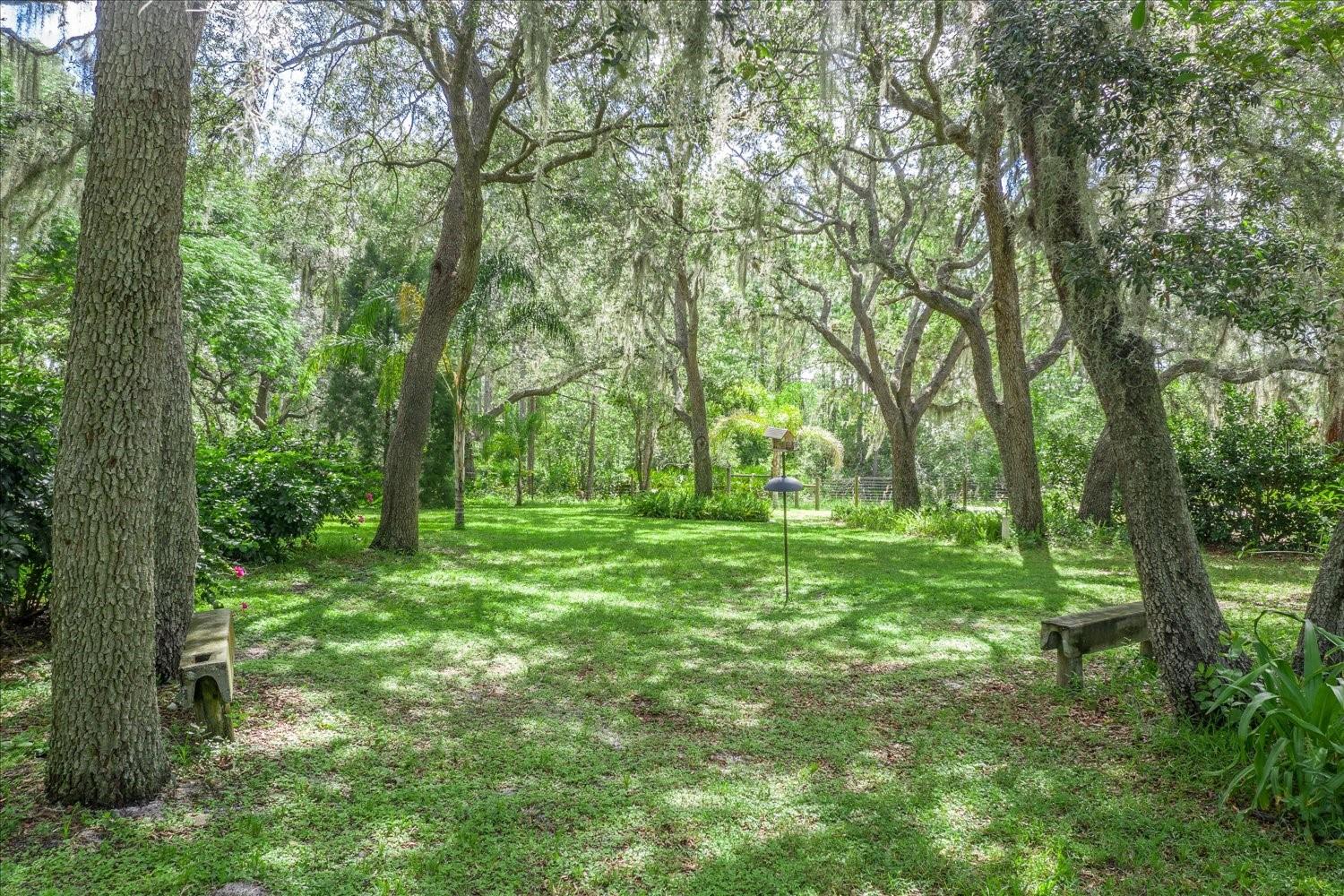 BLUE JORDAN FOREST - Residential