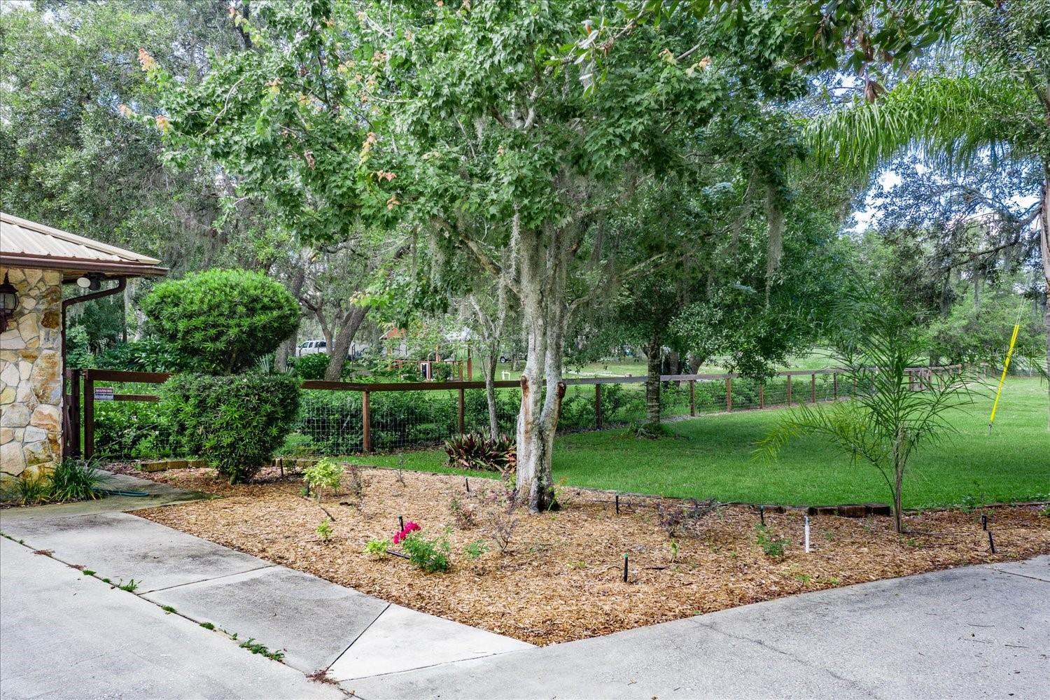 BLUE JORDAN FOREST - Residential