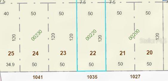 Photo of 1027 W Livingston Street, Orlando, FL 32805 (MLS # O6449021)
