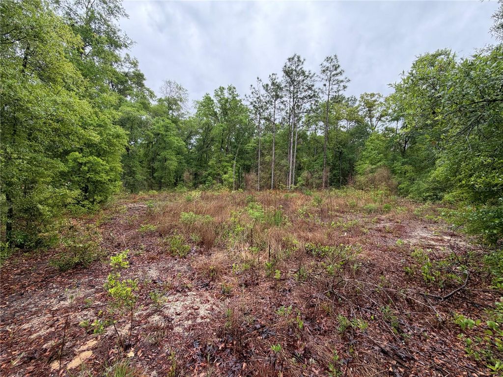 Photo of 301 Rainbow Drive, Hawthorne, FL 32640 (MLS # GC539236)