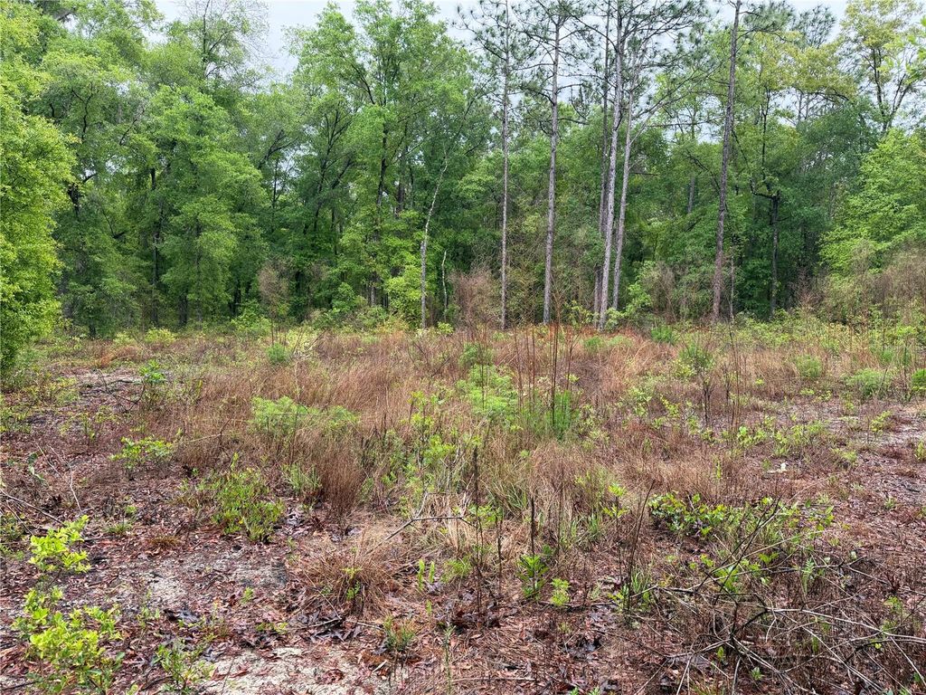 Photo of 301 Rainbow Drive, Hawthorne, FL 32640 (MLS # GC539236)