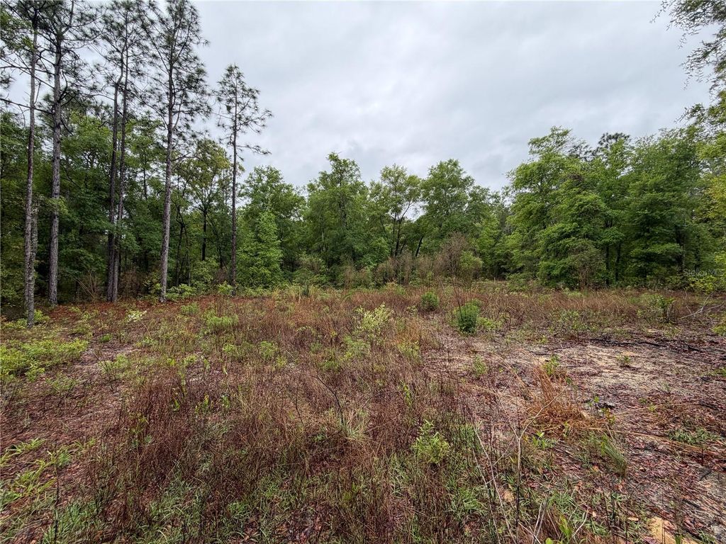 Photo of 301 Rainbow Drive, Hawthorne, FL 32640 (MLS # GC539236)