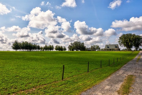 Tiny photo for 24948 Walkabout Ranch Road, Sorrento, FL 32776 (MLS # G5115583)