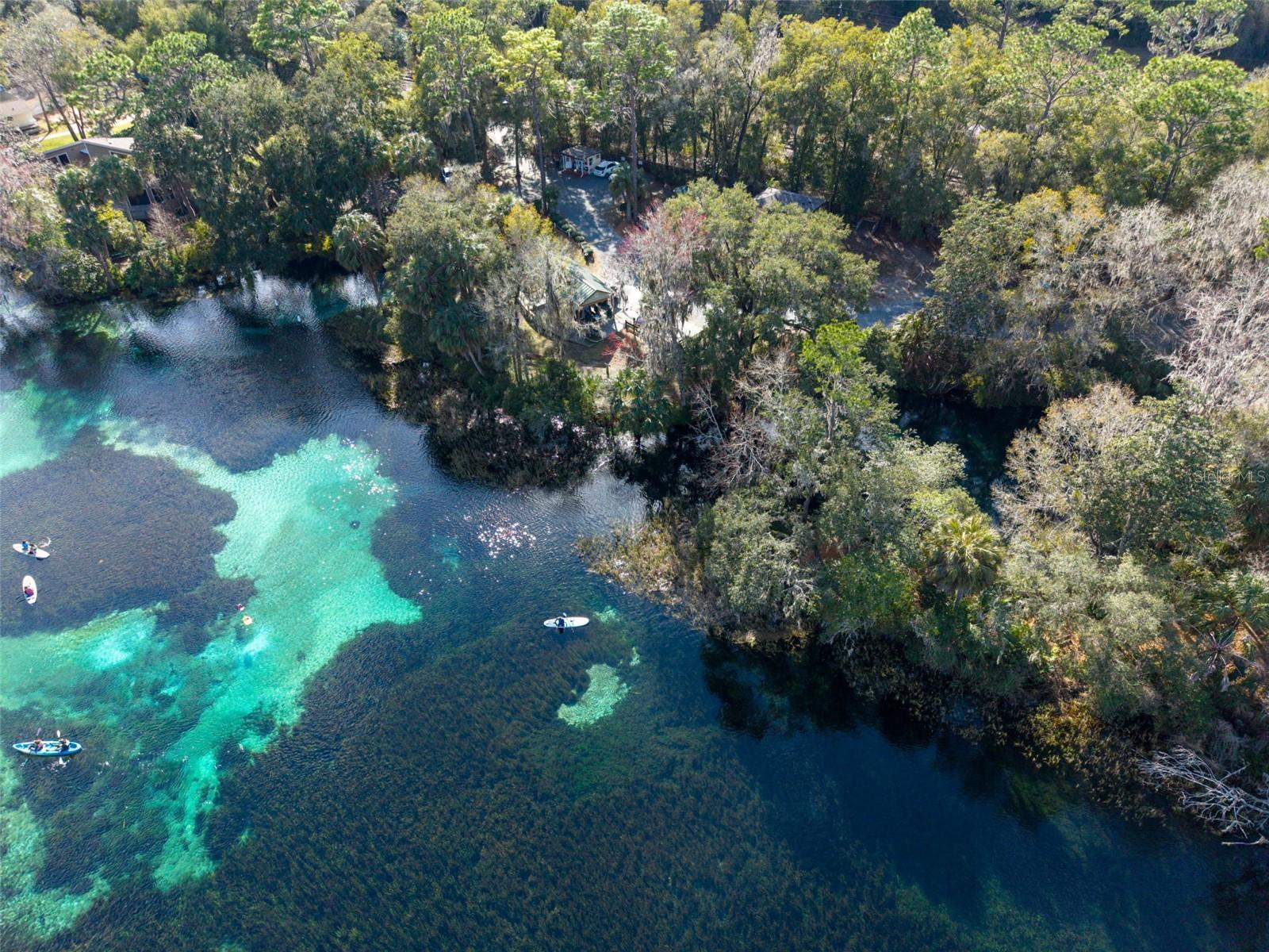 RAINBOW SPRINGS ST ANDREWS - Residential