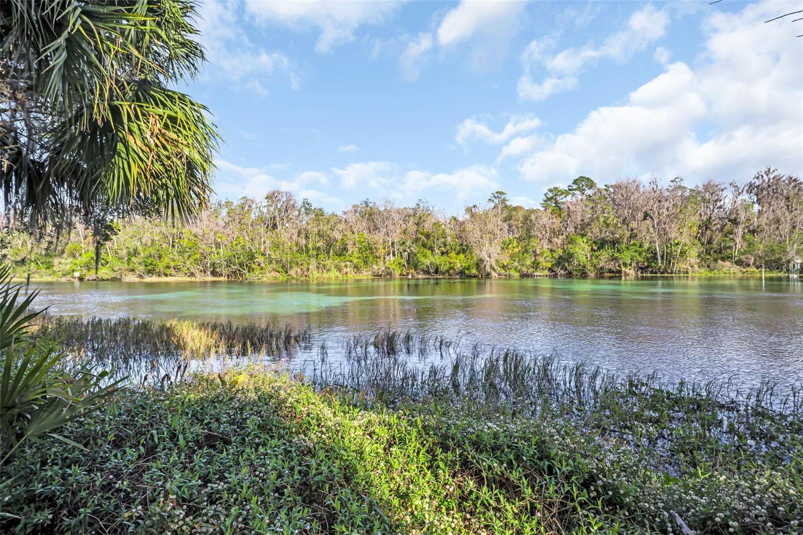 RAINBOW SPRINGS ST ANDREWS - Residential