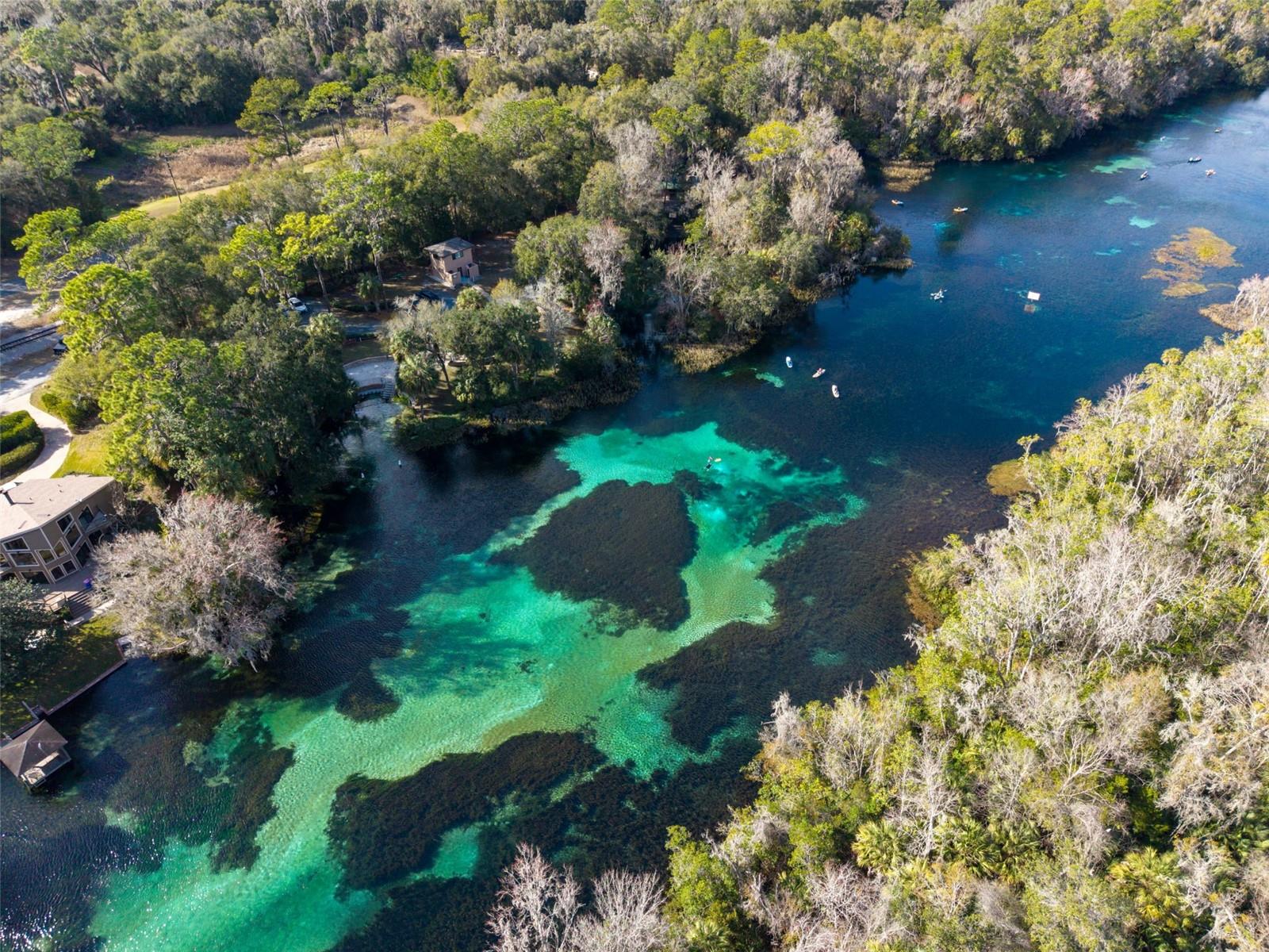 RAINBOW SPRINGS ST ANDREWS - Residential