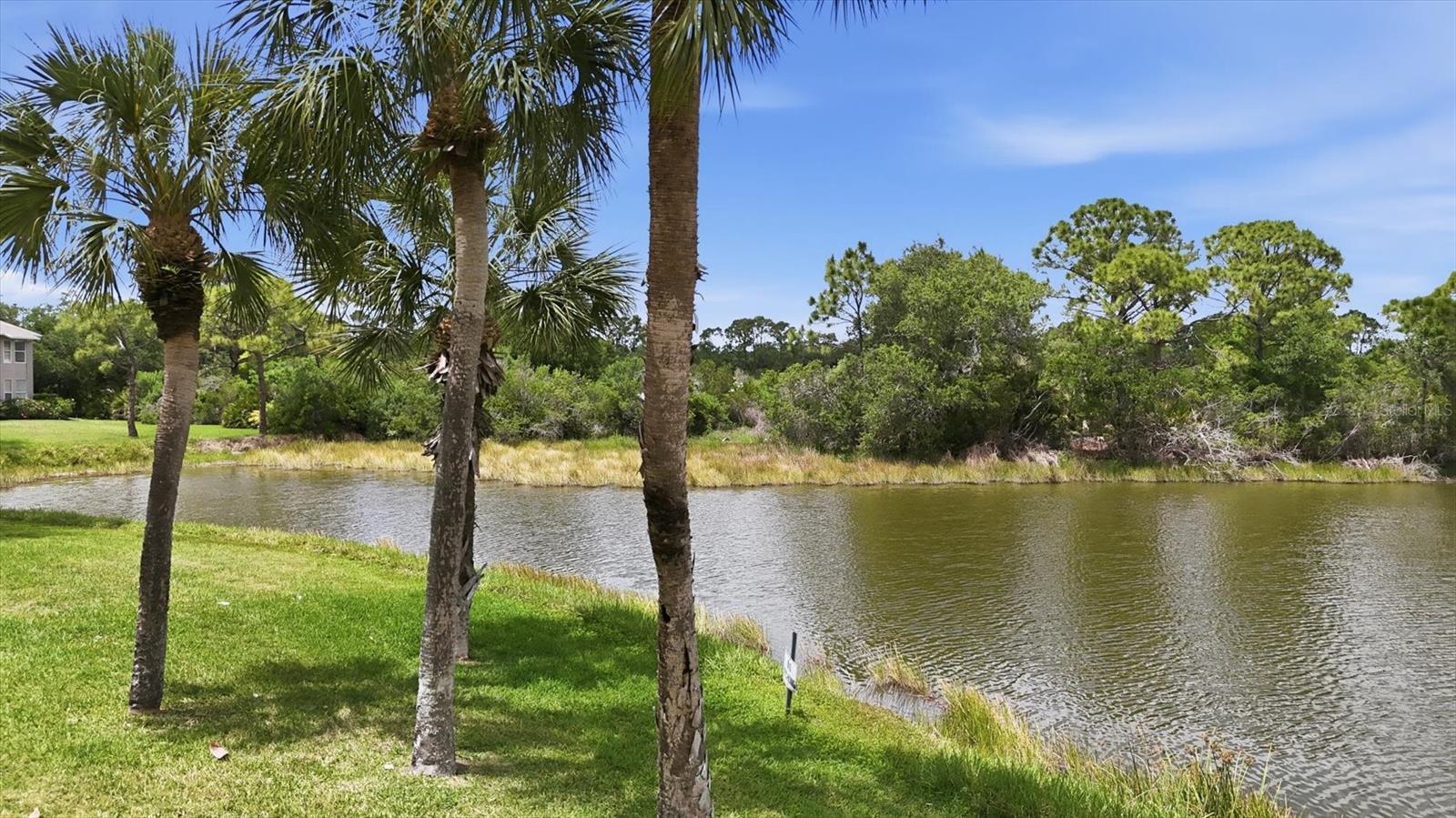 STONEYBROOK VERANDAS 1 - Residential