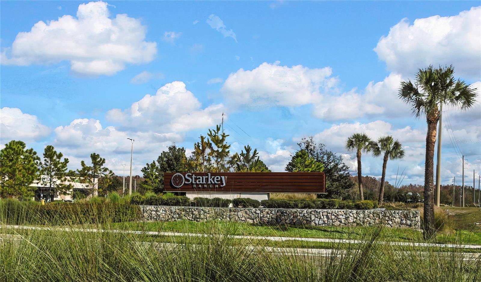 ESPLANADE/STARKEY RANCH PH 1 - Residential