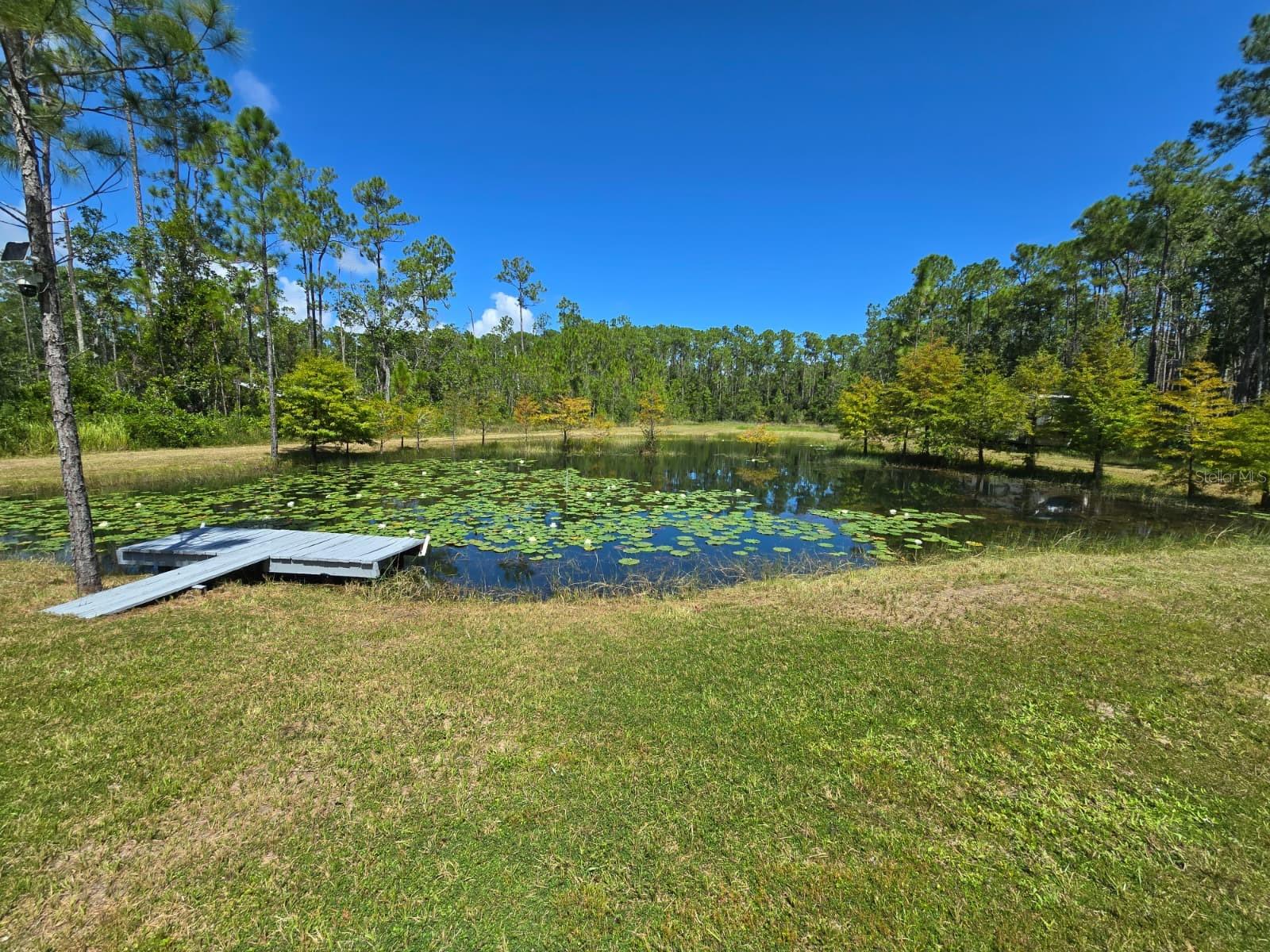 ACREAGE - Land