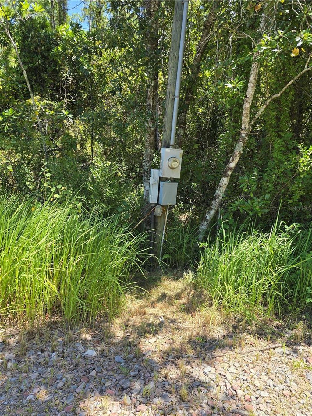 Photo of 19041 E State Road 60 E, Lake Wales, FL 33898 (MLS # TB8430543)