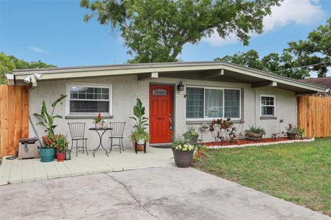 Photo of 7805 N Glen Avenue, Tampa, FL 33614 (MLS # TB8495378)