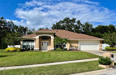 Photo of 3041 Colonial Ridge Drive, Brandon, FL 33511 (MLS # TB8494511)