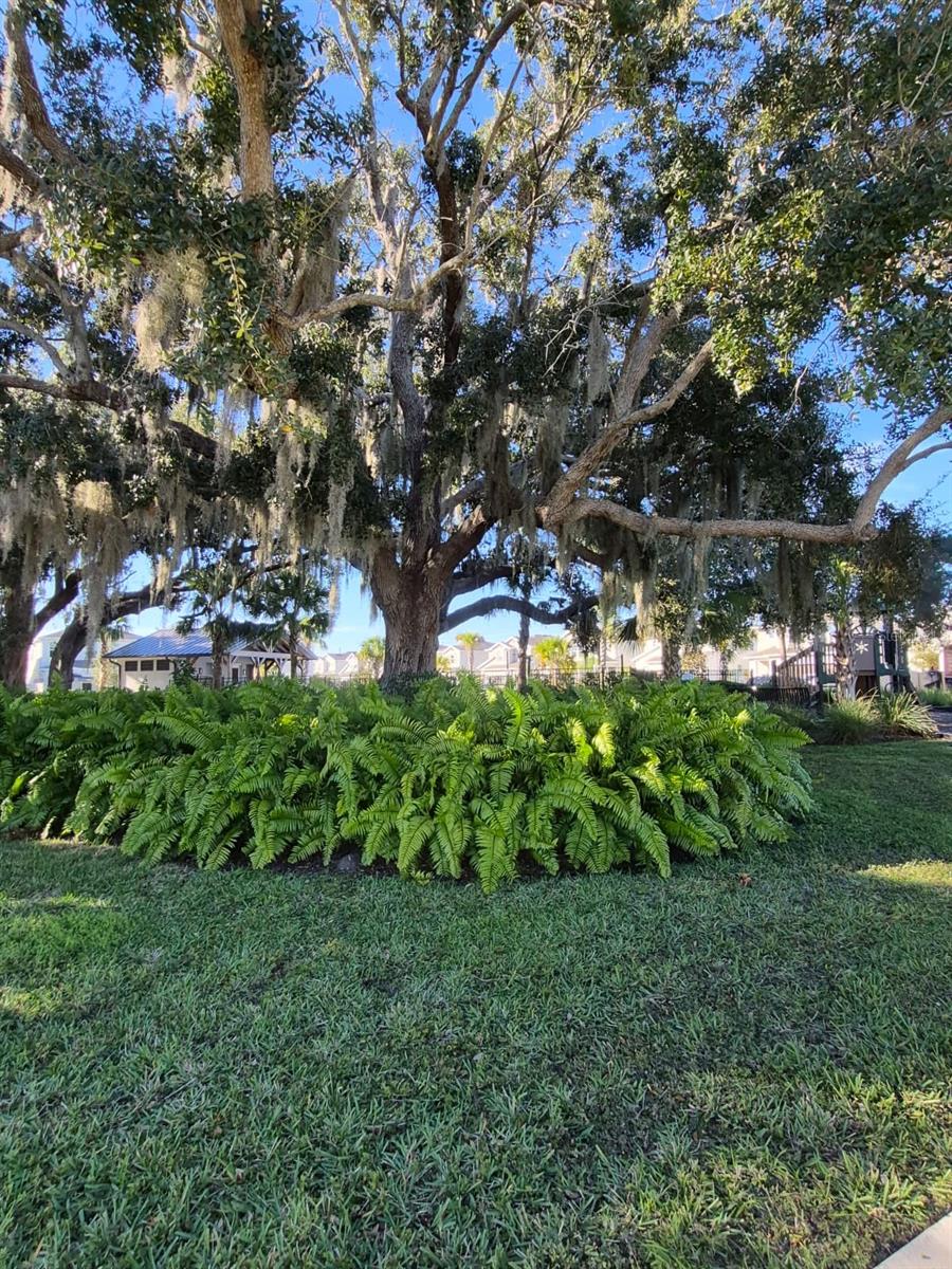 PENNYROYAL - Residential