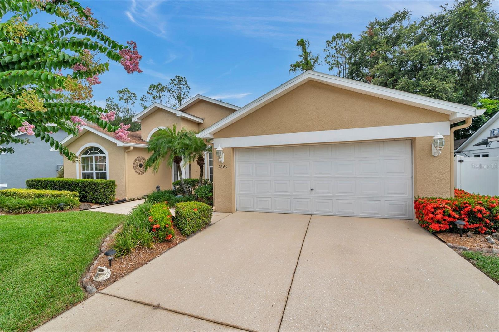 5646 WHITEBARK DRIVE
