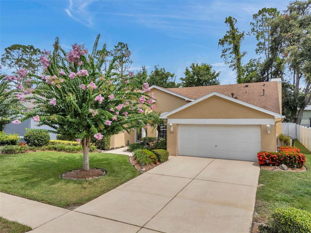 Photo of 5646 Whitebark Drive, Wesley Chapel, FL 33543 (MLS # TB8411056)