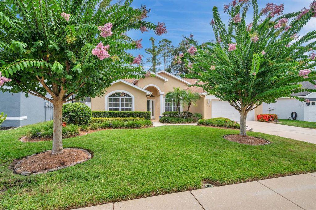 Photo of 5646 Whitebark Drive, Wesley Chapel, FL 33543 (MLS # TB8411056)