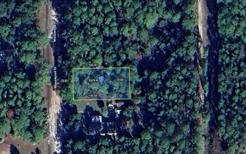 LAKE GEORGE MANOR - Land