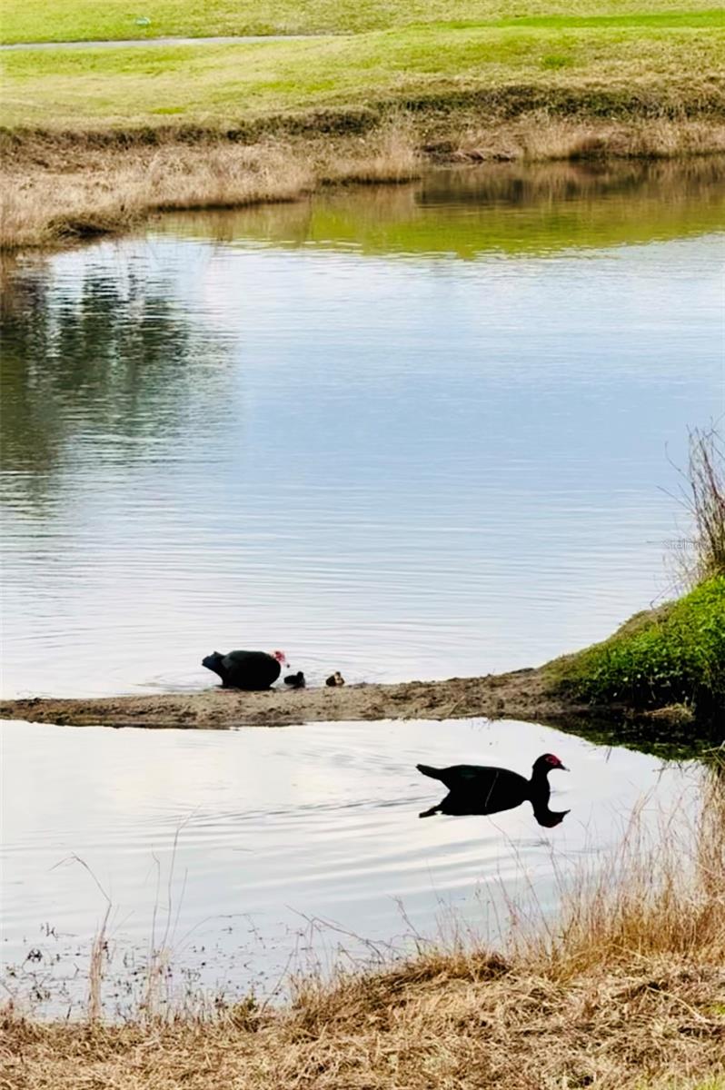 DEER CREEK GOLF & TENNIS RV RESORT PH 03-B - Residential