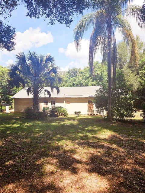 A home in MOUNT DORA