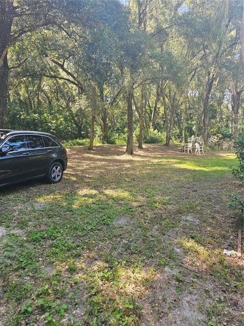 A home in MOUNT DORA