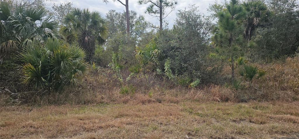 Photo of 3 Tuttle Lane, North Port, FL 34288 (MLS # C7501924)