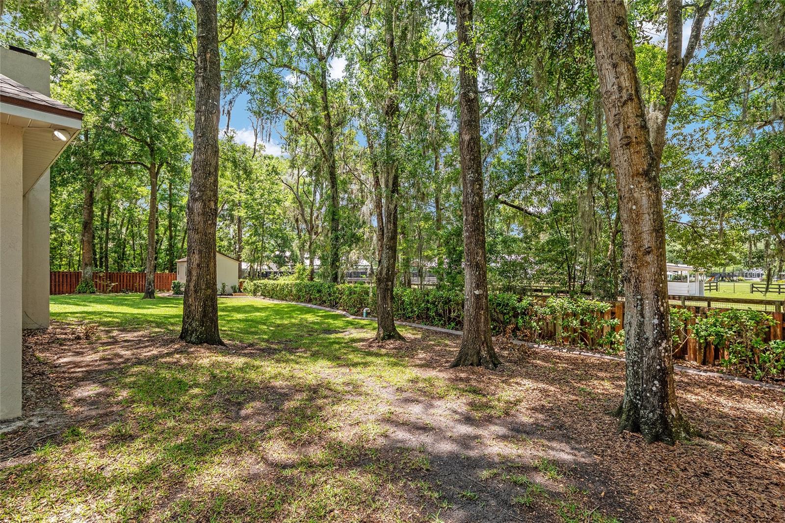DALTON WOODS - Residential