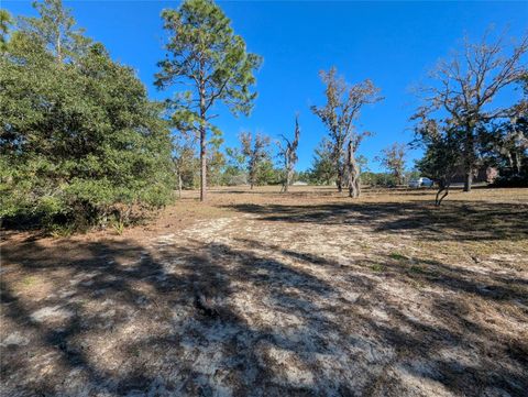 A home in DUNNELLON