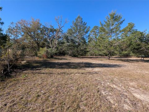 A home in DUNNELLON