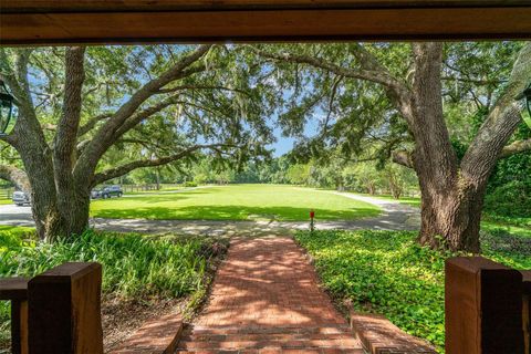 A home in MOUNT DORA