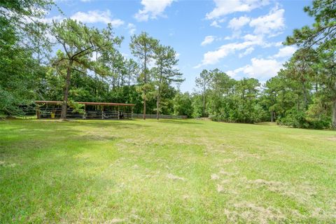 A home in MOUNT DORA