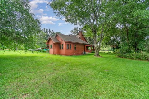 A home in MOUNT DORA