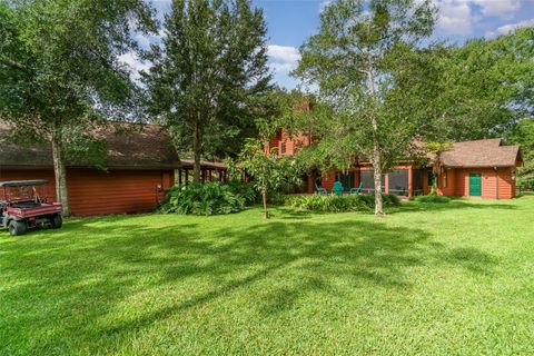 A home in MOUNT DORA