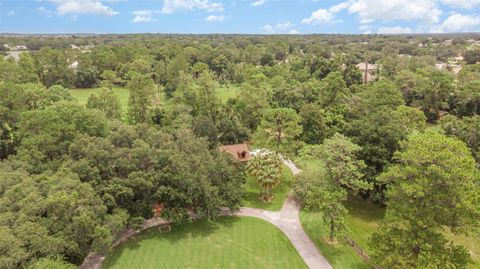 A home in MOUNT DORA