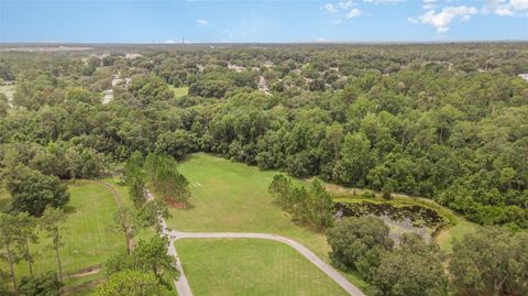 A home in MOUNT DORA