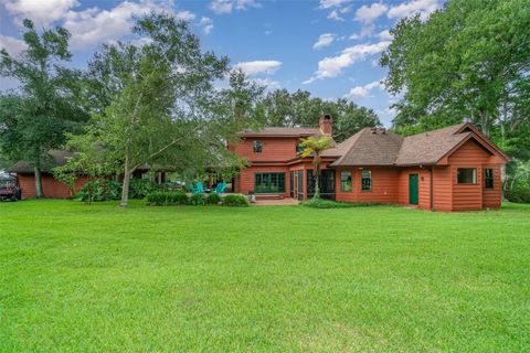 A home in MOUNT DORA