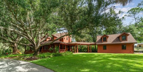 A home in MOUNT DORA