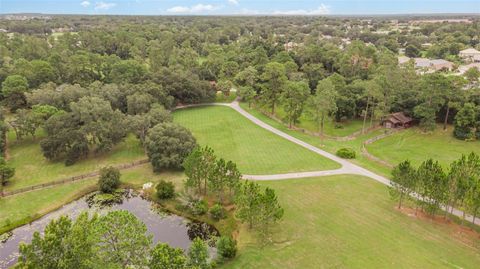 A home in MOUNT DORA