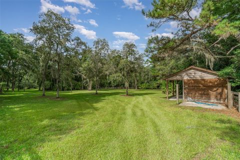 A home in MOUNT DORA