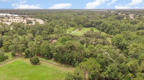 A home in MOUNT DORA