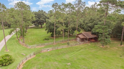 A home in MOUNT DORA