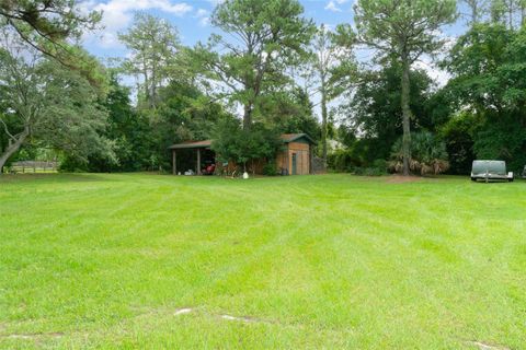 A home in MOUNT DORA