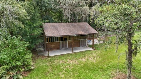 A home in MOUNT DORA