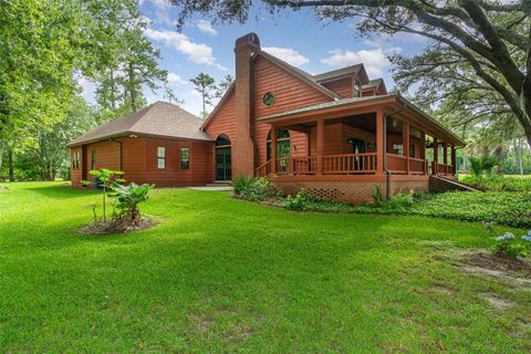 A home in MOUNT DORA