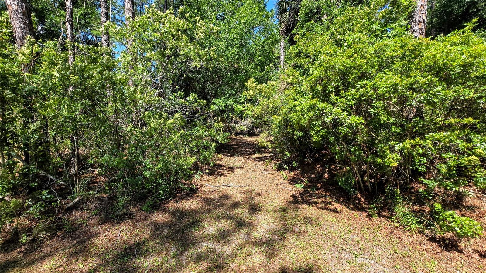 QUAIL HOLLOW PINES - Residential