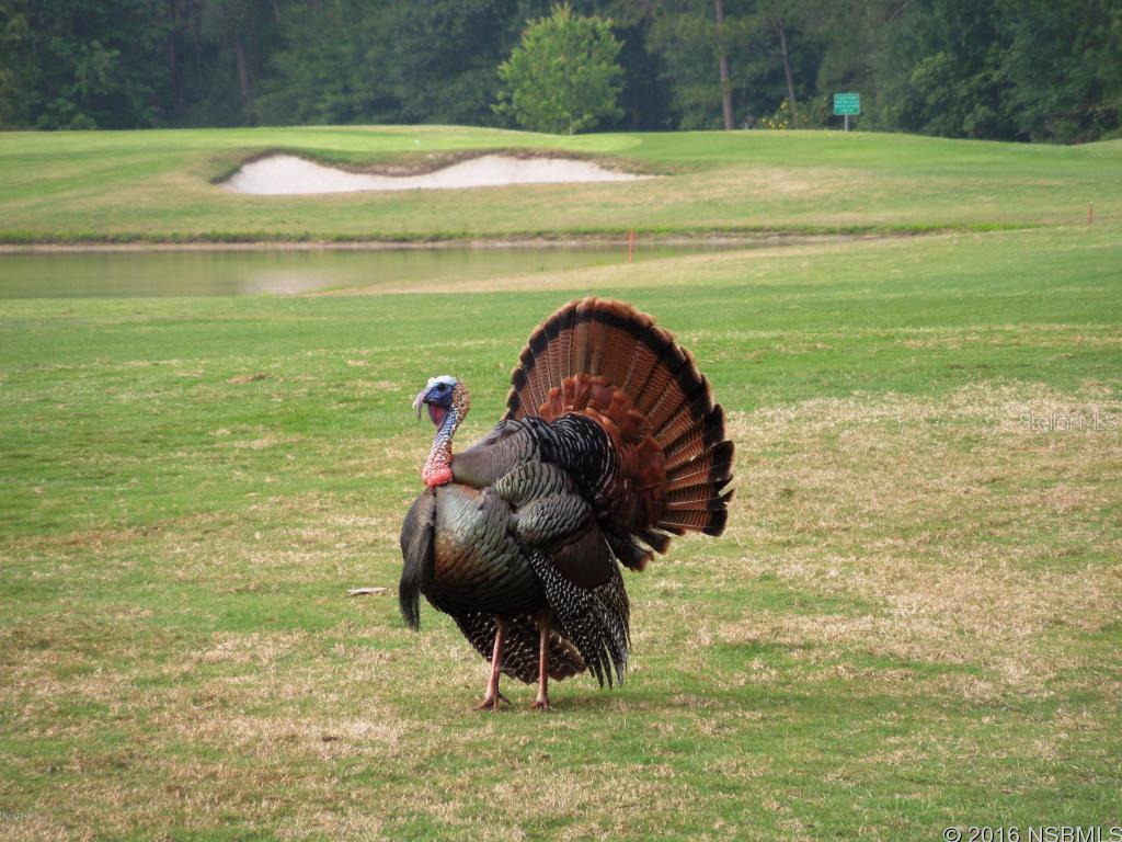 Cypresshead Ph 02C - Residential