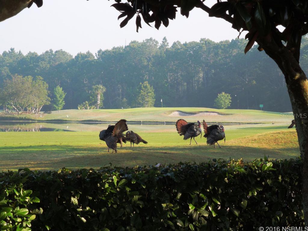 Cypresshead Ph 02C - Residential