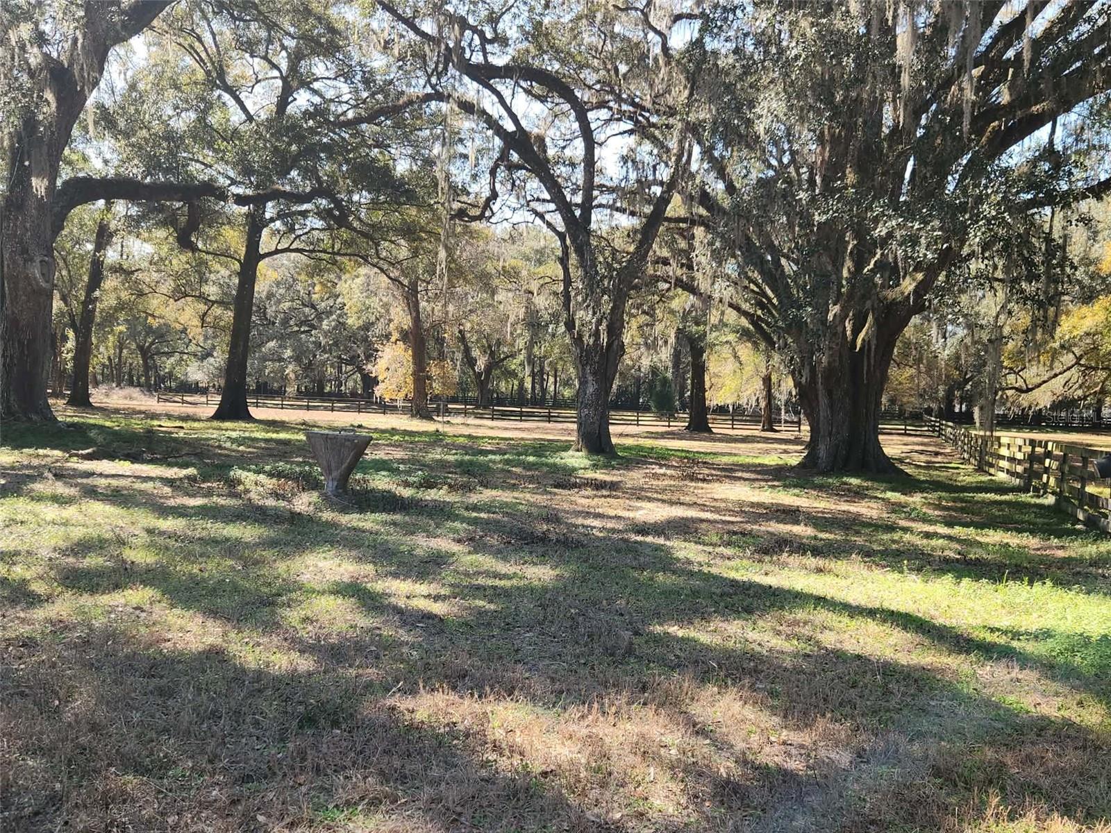 PINNACLE PARK - Residential